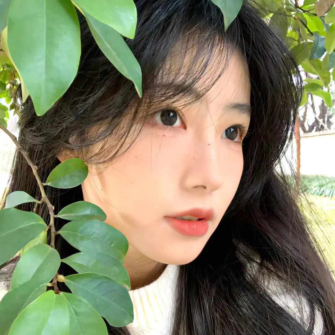 八角笼中